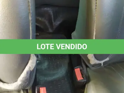 LOTE 066 - GM/CLASSIC SPIRIT