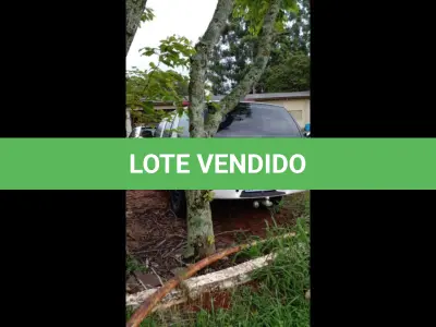 LOTE 153 - GM/BLAZER ADVANTAGE