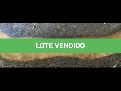 LOTE 203 - FORD/FIESTA 1.6 FLEX