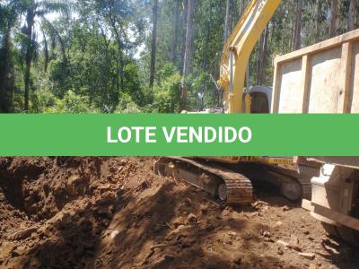 LOTE 003 - ESCAVADEIRA NEW HOLLAND 135 ANO/MODELO 2011