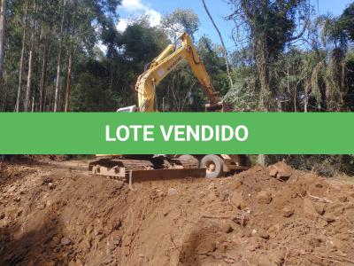 LOTE 003 - ESCAVADEIRA NEW HOLLAND 135 ANO/MODELO 2011