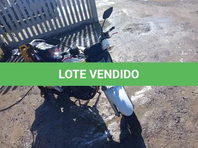 LOTE 0008 - 0008
