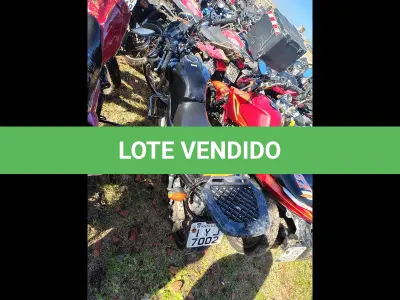 LOTE 0156 - 0156