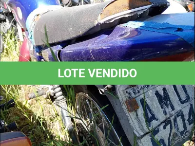 LOTE 0088 - 0088