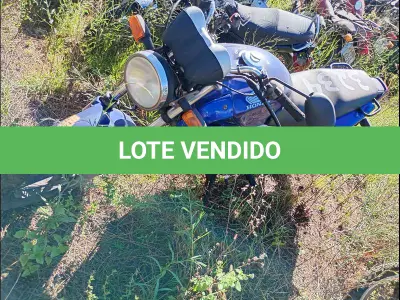 LOTE 0071 - 0071