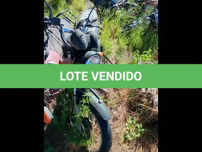 LOTE 0081 - 0081