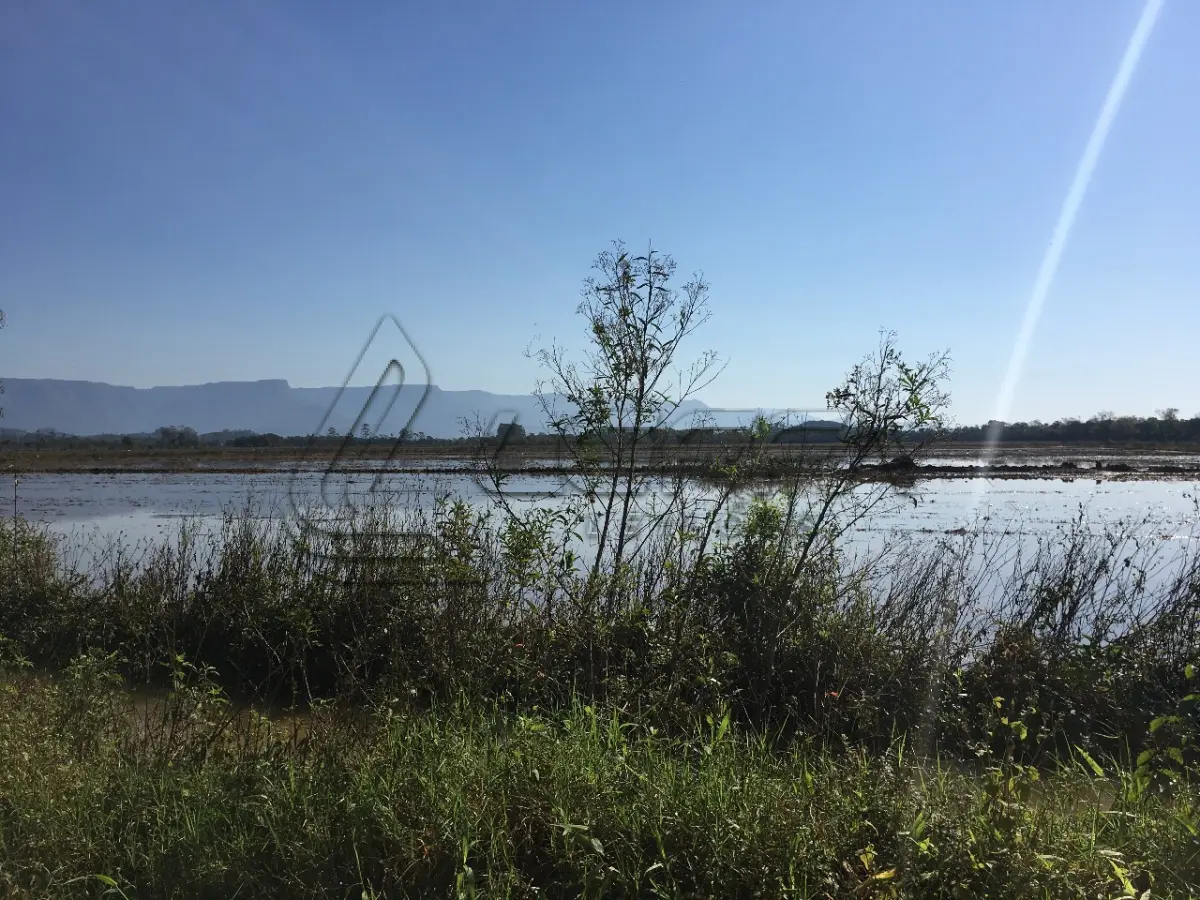 LOTE 003 - ÁREA RURAL SITUADO NA GLÓRIA, PIRATABA EM TORRES/RS