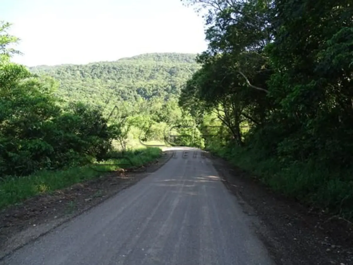LOTE 006 - FRAÇÃO DE TERRENO RURAL EM IGREJINHA/RS