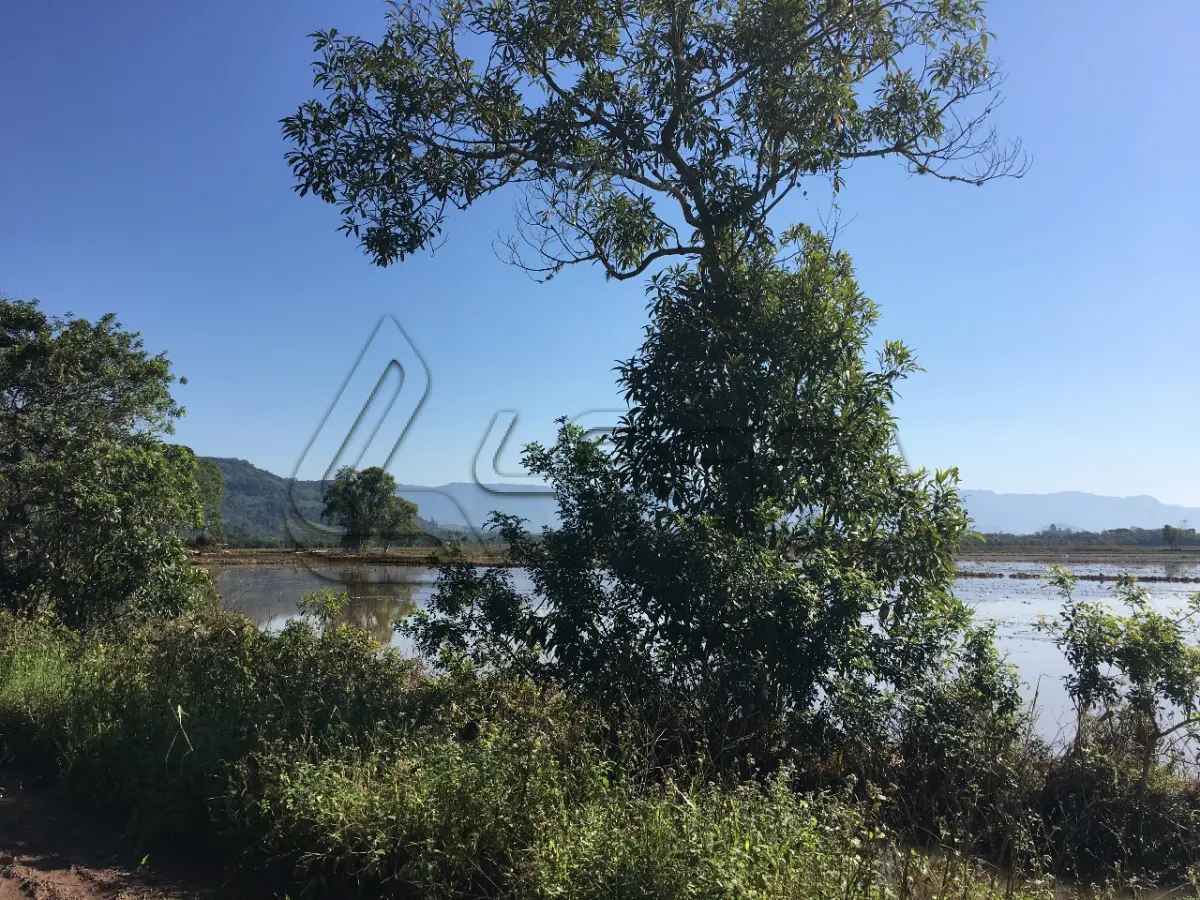LOTE 003 - ÁREA RURAL SITUADO NA GLÓRIA, PIRATABA EM TORRES/RS