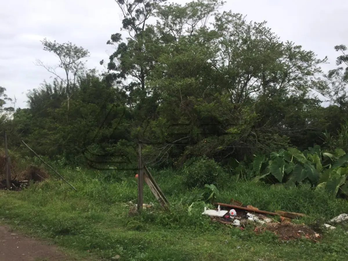 LOTE 024 - TERRENO, lote 07, da quadra 183, em Terra de Areia/RS