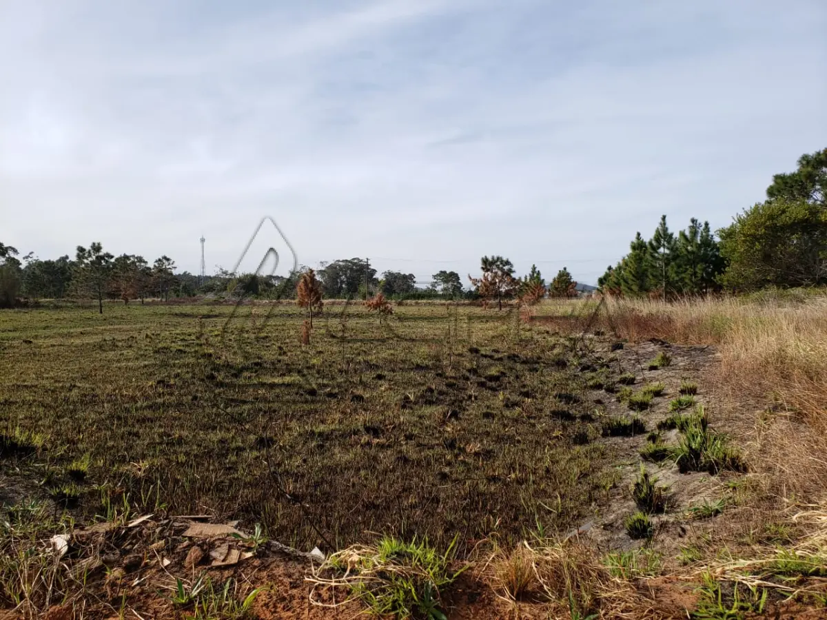 LOTE 001 - UM TERRENO URBANO, na Praia Riviera, lote 27 da quadra 18 em Torres/RS