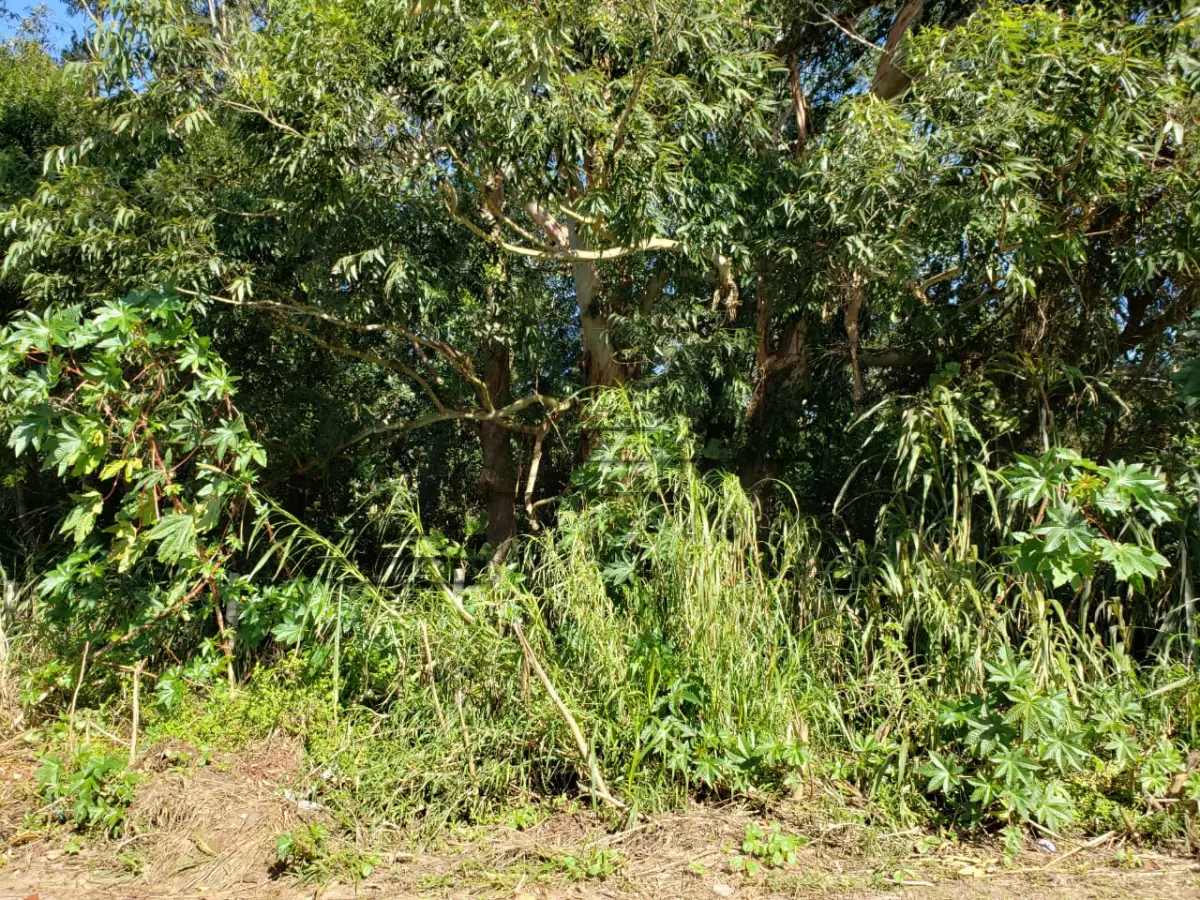 LOTE 001 - Dois Terrenos, na mesma matrícula, Lotes 14 e 15 da Quadra 32, na Praia Azul em Arroio do Sal/RS