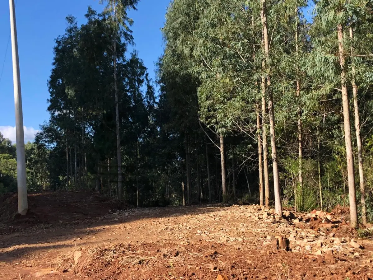 LOTE 001 - Área Rural, de 30.000,00 m², no lugar denominado Chapadão, em Canela/RS