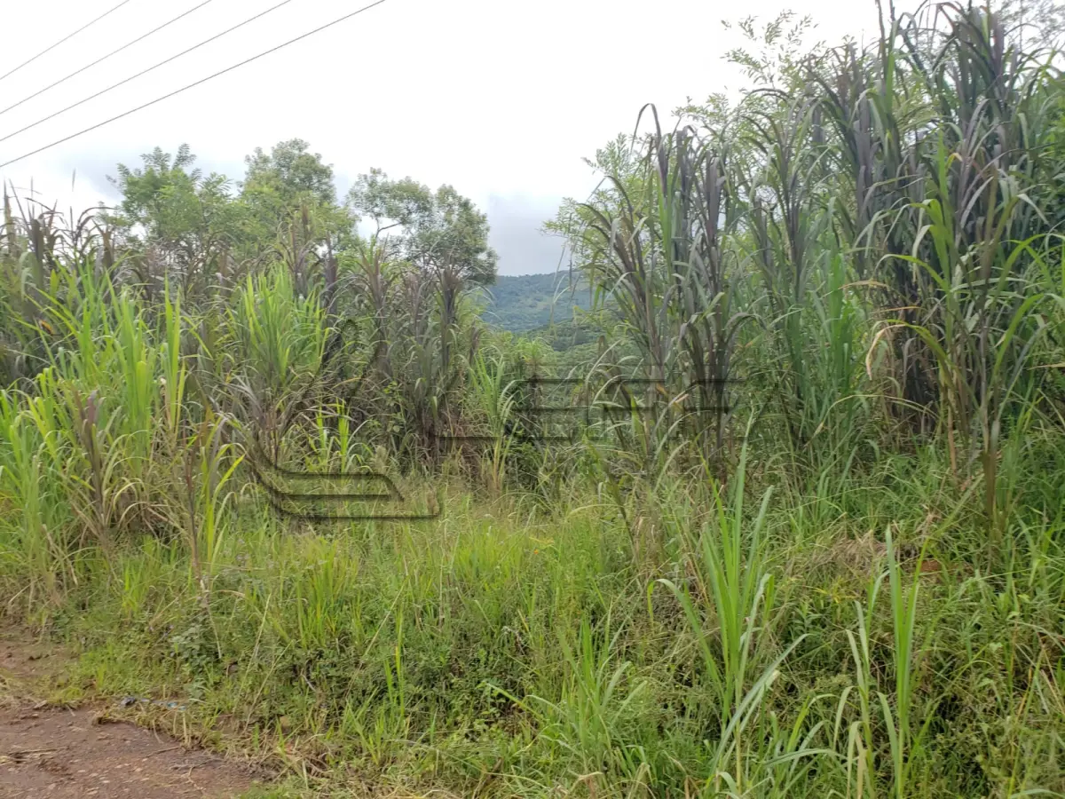 LOTE 001 - Terreno de Cultura Rural, no Alto Rio do Terra, em Três Cachoeiras/RS