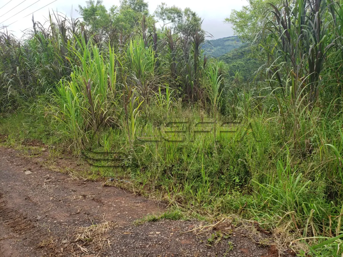 LOTE 001 - Terreno de Cultura Rural, no Alto Rio do Terra, em Três Cachoeiras/RS