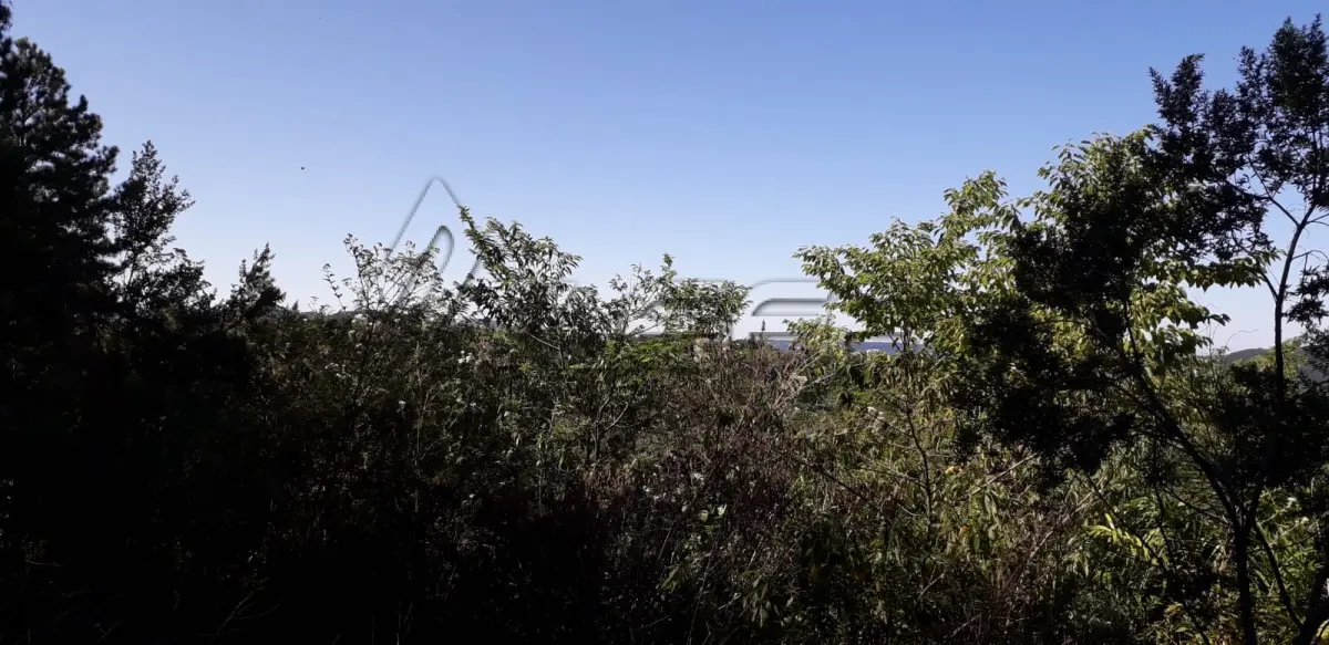 LOTE 001 - Área Rural, de 30.000,00 m², no lugar denominado Chapadão, em Canela/RS