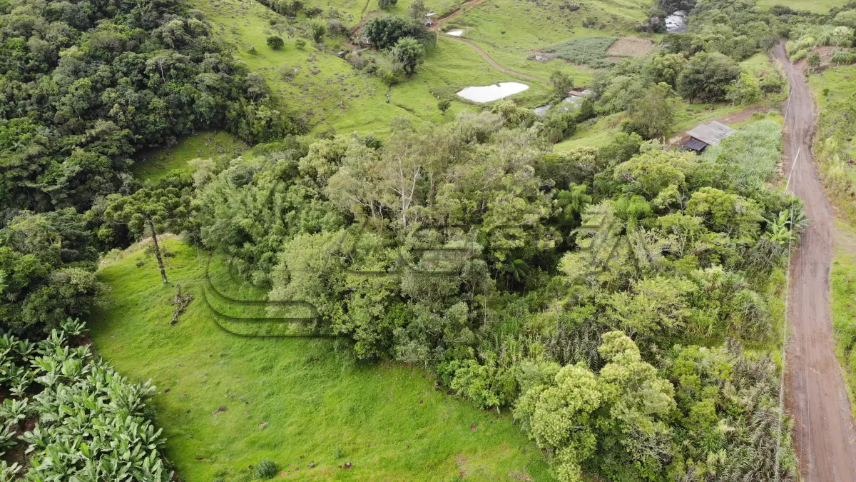 LOTE 001 - Terreno de Cultura Rural, no Alto Rio do Terra, em Três Cachoeiras/RS