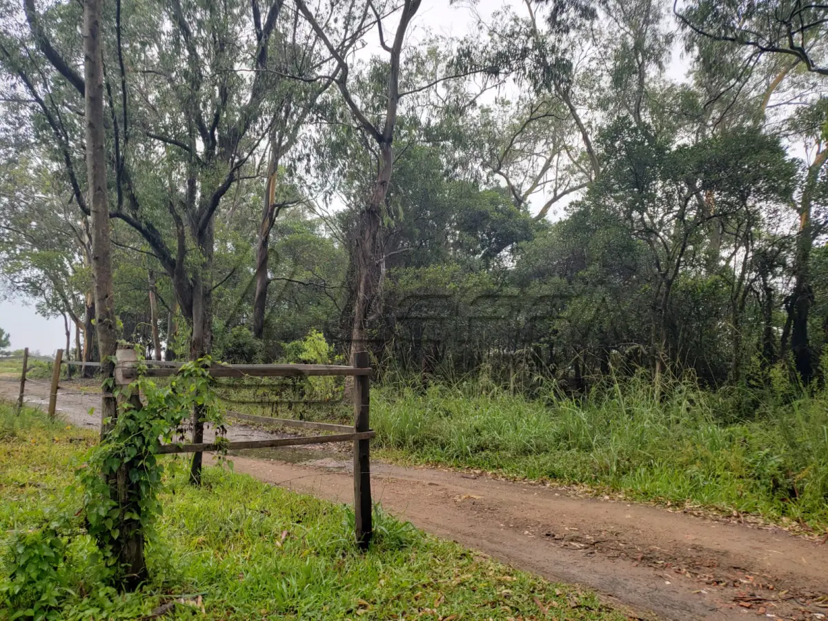 LOTE 001 - Terreno Urbano, Lote 17 da Quadra 19, na Praia Tupinambá, em Torres/RS