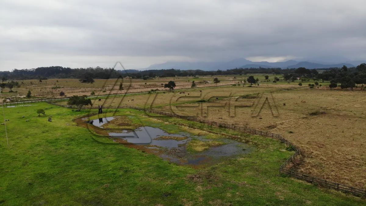 LOTE 001 - Uma Gleba de Terras, de 53,73 Hectares, na Rondinha, em Arroio do Sal/RS