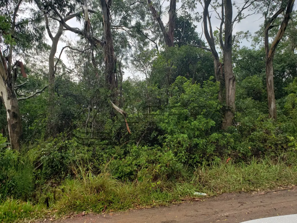 LOTE 002 - Terreno Urbano, Lote 19 da Quadra 19, na Praia Tupinambá, em Torres/RS