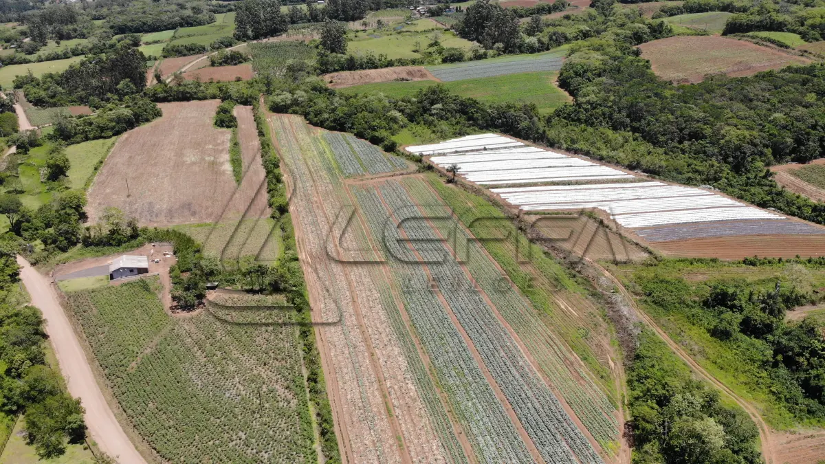LOTE 001 - UM TERRENO RURAL DE 21,5 HECTARES, COM BENFEITORIAS, SITUADO NO LUGAR DENOMINADO MORRO DO CHAPÉU, NO MUNICÍPIO DE TRÊS FORQUILHAS/RS.