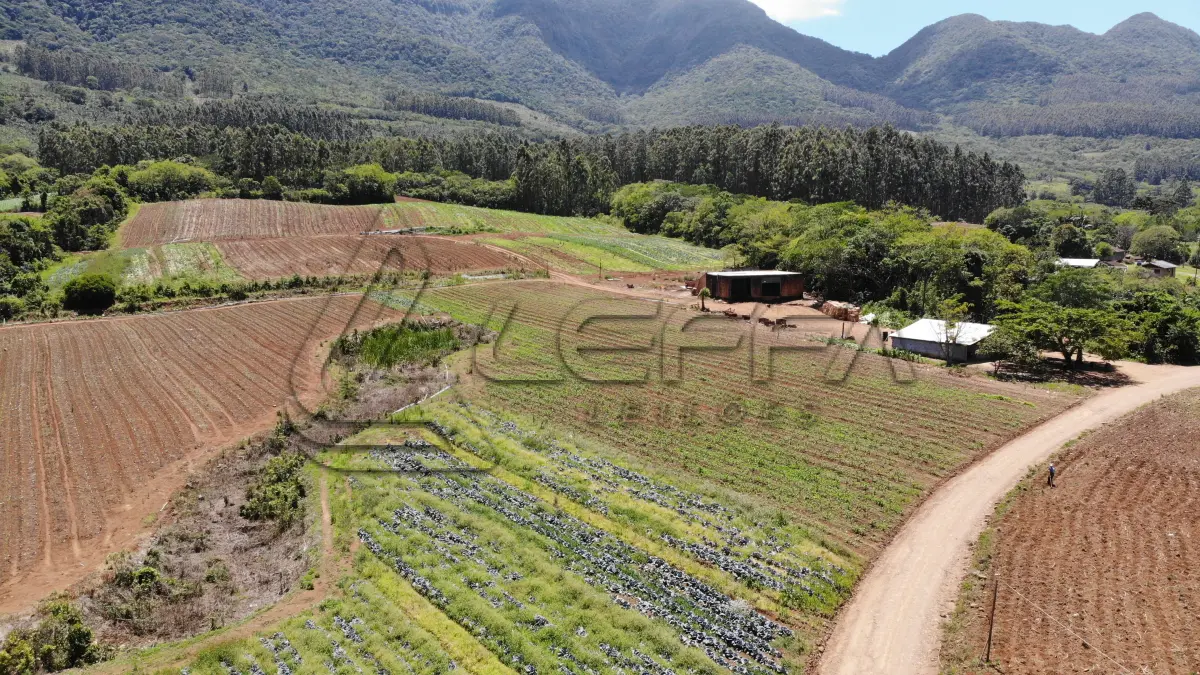 LOTE 001 - UM TERRENO RURAL DE 21,5 HECTARES, COM BENFEITORIAS, SITUADO NO LUGAR DENOMINADO MORRO DO CHAPÉU, NO MUNICÍPIO DE TRÊS FORQUILHAS/RS.