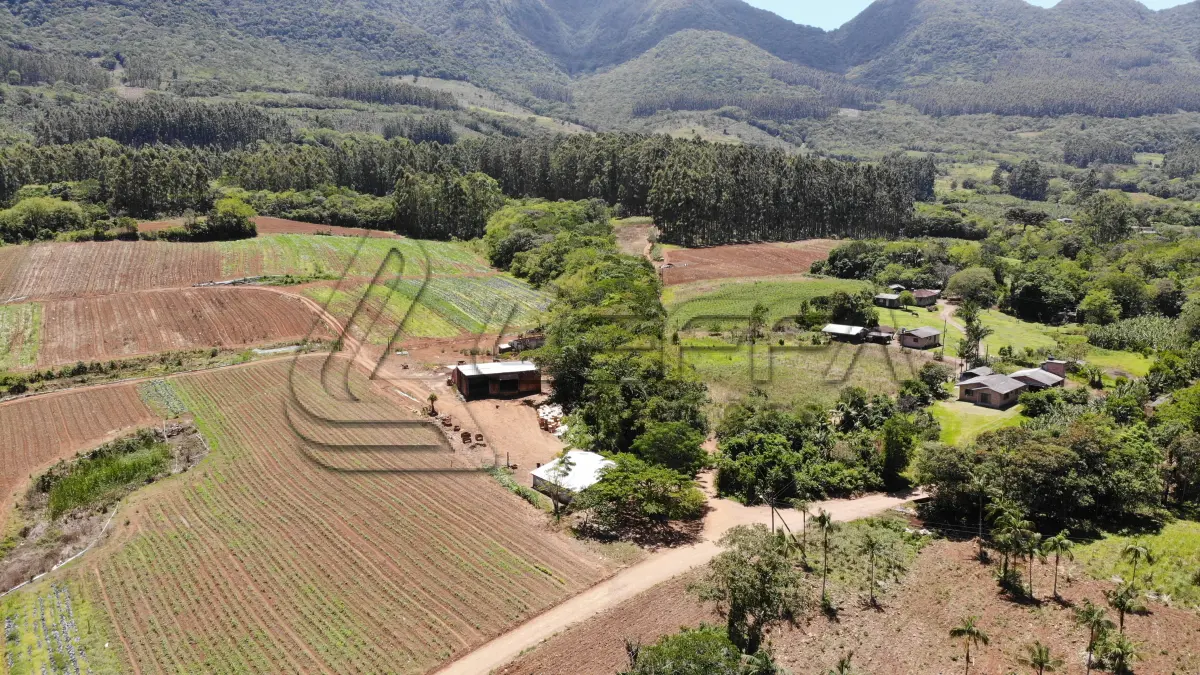 LOTE 001 - UM TERRENO RURAL DE 21,5 HECTARES, COM BENFEITORIAS, SITUADO NO LUGAR DENOMINADO MORRO DO CHAPÉU, NO MUNICÍPIO DE TRÊS FORQUILHAS/RS.