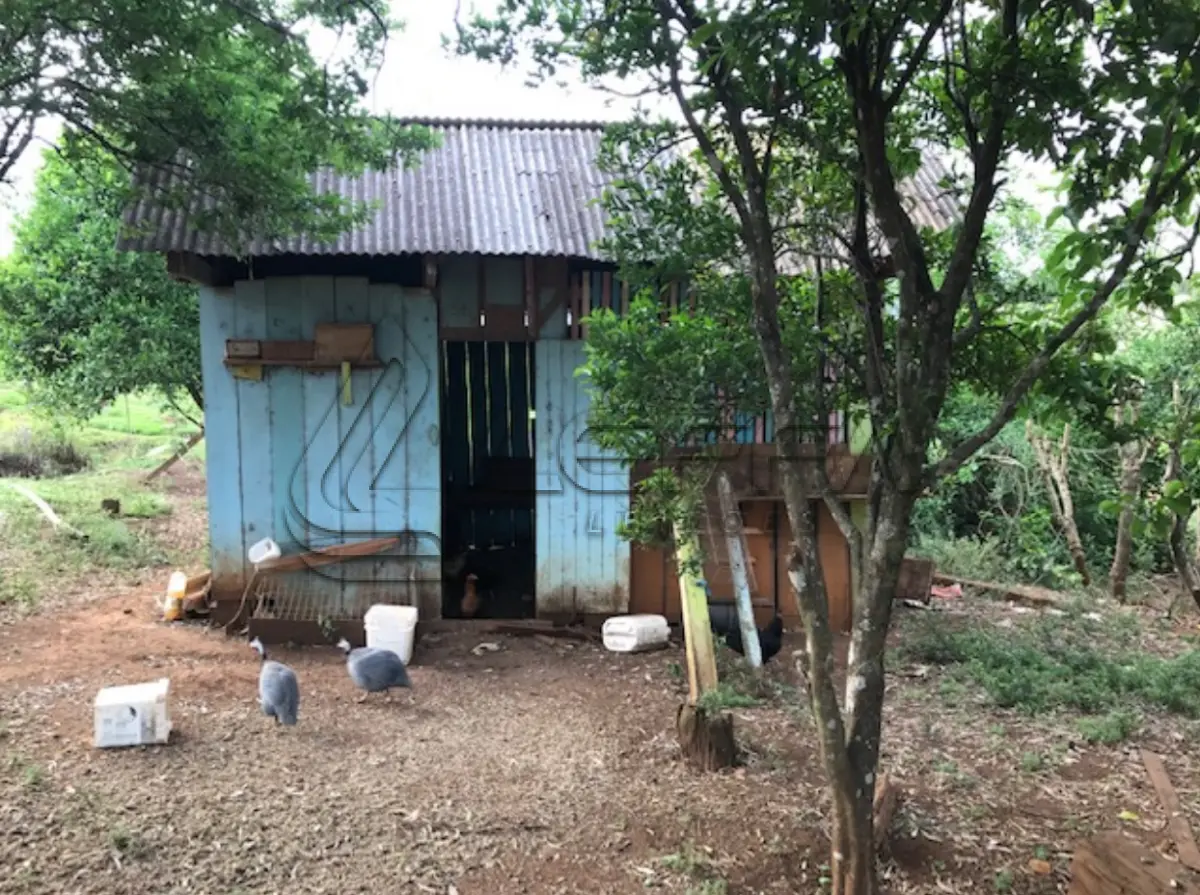 LOTE 001 - Área Rural, de 242.000,00m², na Fazenda Cruzeiro, Paiol das Telhas, em Abelardo Luz/SC
