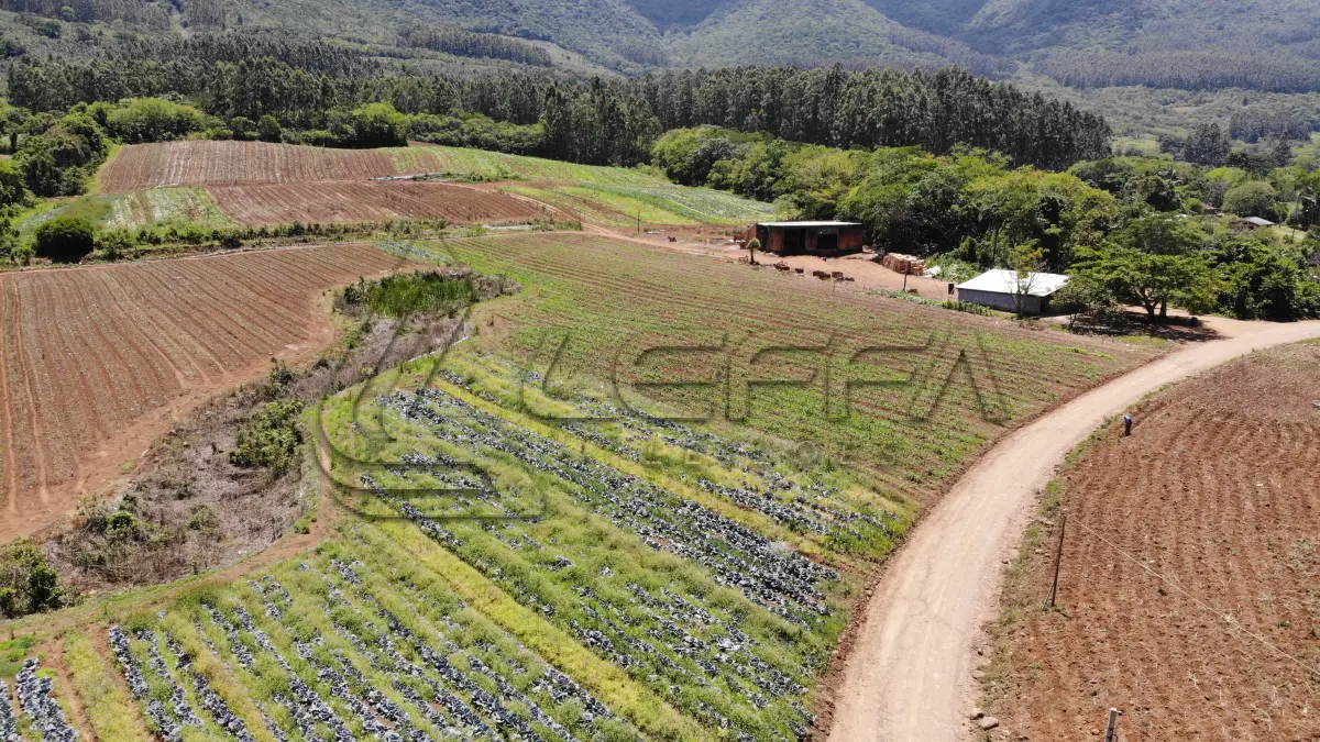 LOTE 002 - UM TERRENO RURAL DE 21,5 HECTARES, COM BENFEITORIAS, SITUADO NO LUGAR DENOMINADO MORRO DO CHAPÉU, NO MUNICÍPIO DE TRÊS FORQUILHAS/RS.