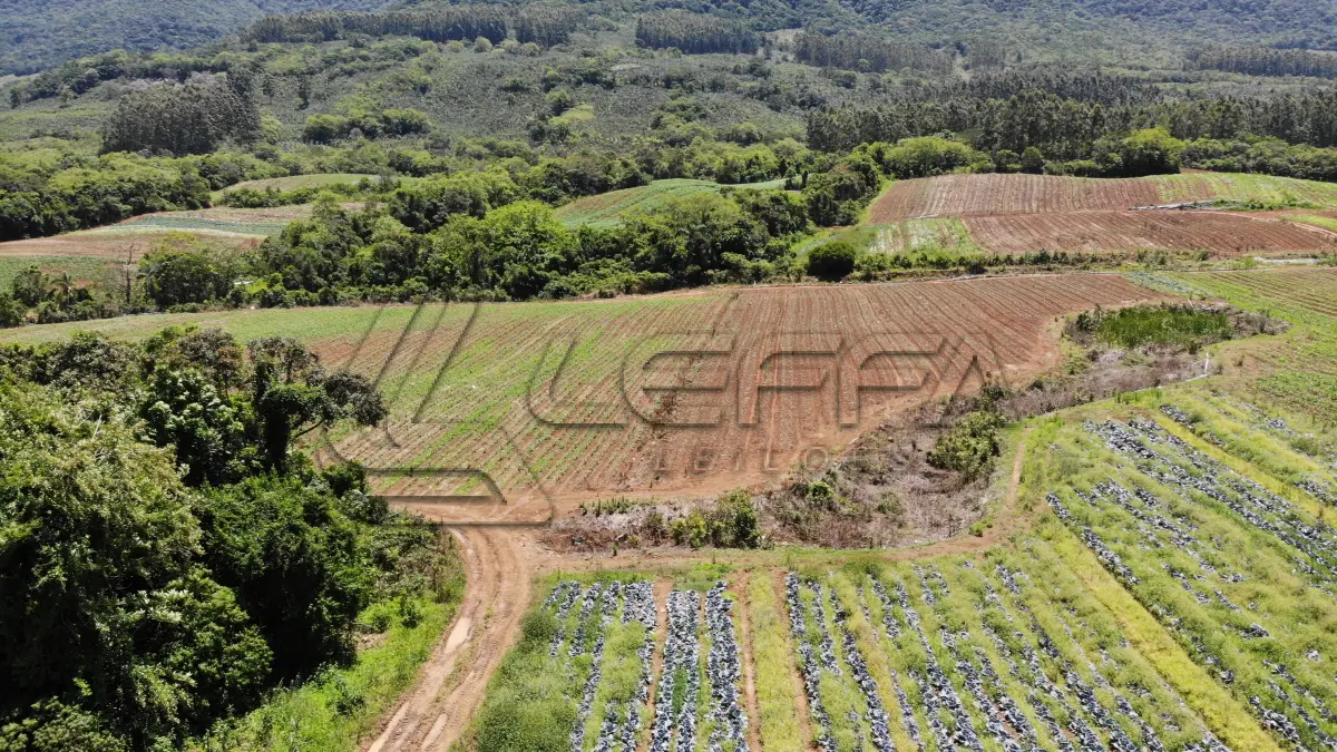 LOTE 001 - UM TERRENO RURAL DE 21,5 HECTARES, COM BENFEITORIAS, SITUADO NO LUGAR DENOMINADO MORRO DO CHAPÉU, NO MUNICÍPIO DE TRÊS FORQUILHAS/RS.