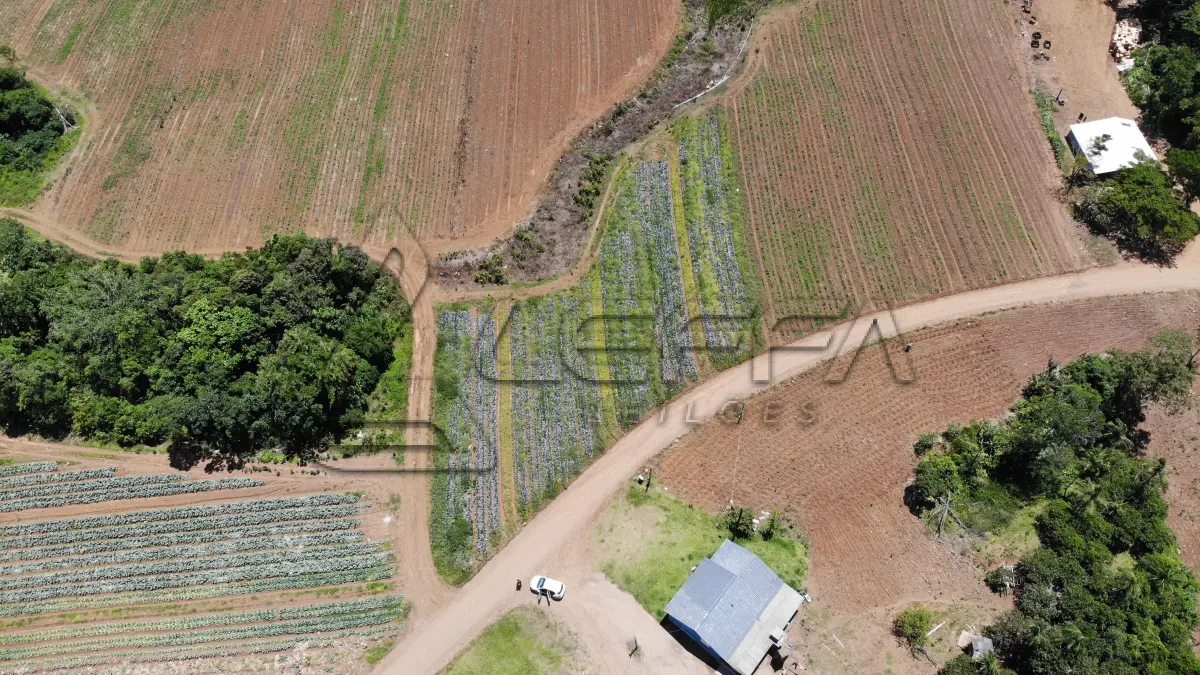 LOTE 001 - UM TERRENO RURAL DE 21,5 HECTARES, COM BENFEITORIAS, SITUADO NO LUGAR DENOMINADO MORRO DO CHAPÉU, NO MUNICÍPIO DE TRÊS FORQUILHAS/RS.