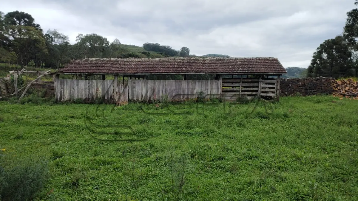 LOTE 020 - UM TERRENO RURAL, COM 5.000 METROS QUADRADOS, EM BOM JESUS/RS