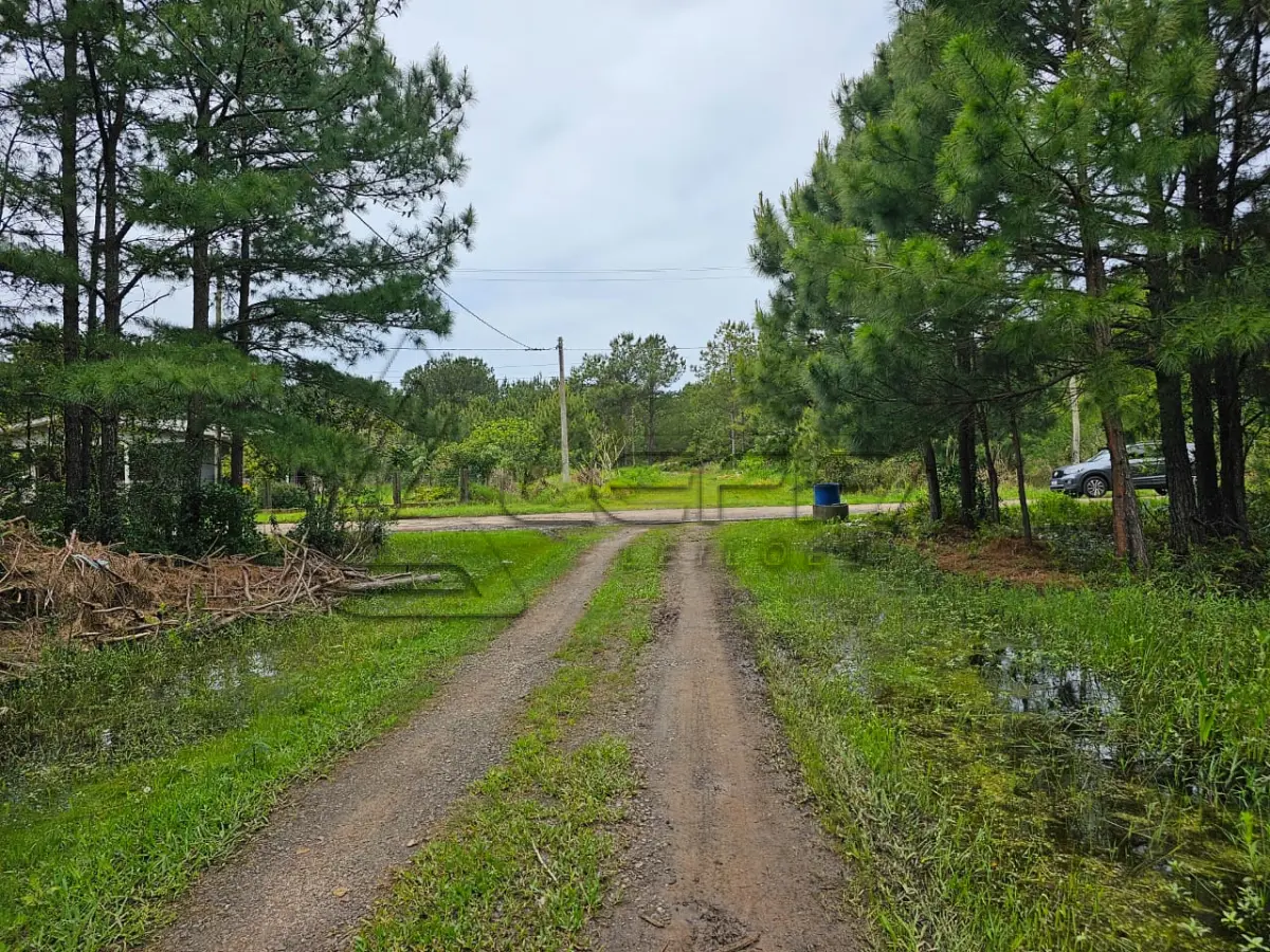 LOTE 001 - Terreno Urbano, Lote 22 Quadra 23, no Balneário Pinus Park em Arroio do Sal RS