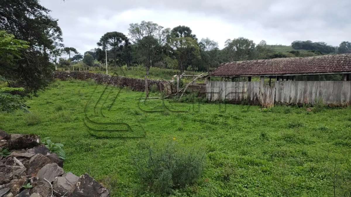 LOTE 020 - UM TERRENO RURAL, COM 5.000 METROS QUADRADOS, EM BOM JESUS/RS