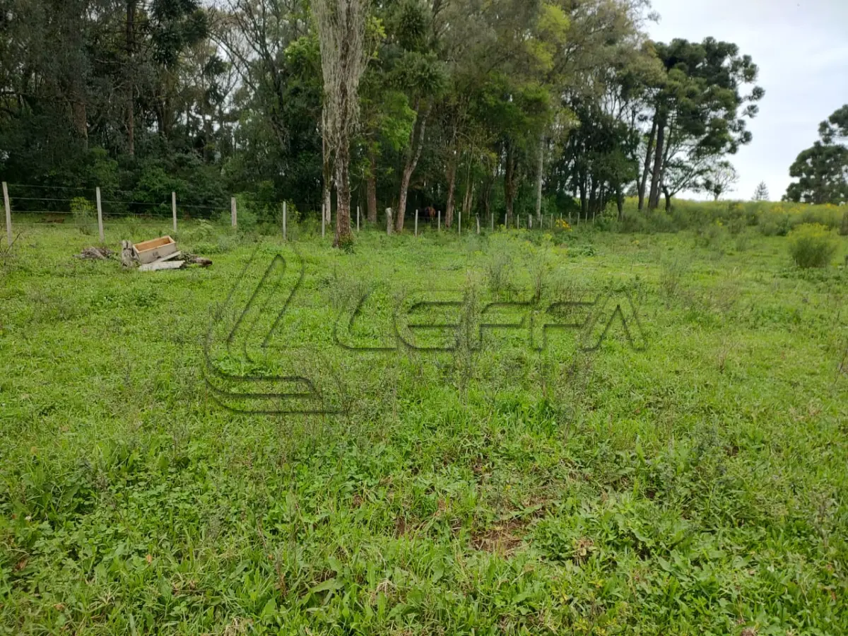 LOTE 020 - UM TERRENO RURAL, COM 5.000 METROS QUADRADOS, EM BOM JESUS/RS