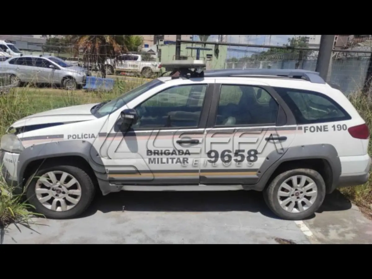 LOTE 174 - FIAT/PALIO WK ADVEN FLEX