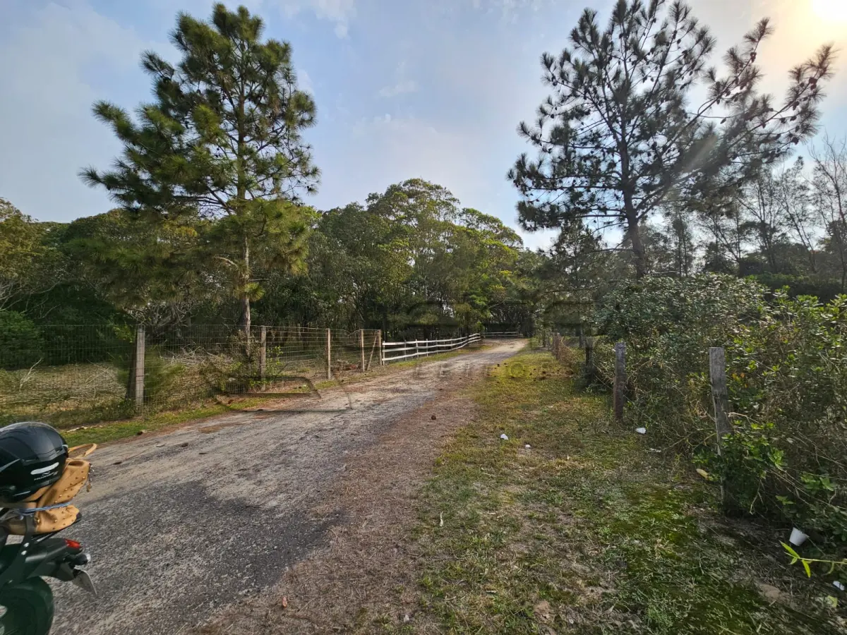 LOTE 001 - UMA ÁREA DE TERRAS DE 14,9 HÁ, NO LUGAR DENOMINADO ARROIO TEIXEIRA, ENTRE OS MUNICÍPIOS DE TERRA DE AREIA/RS E CAPÃO DA CANOA/RS, NO LUGAR DENOMINADO “CAMPING CLUBE DO BRASIL”