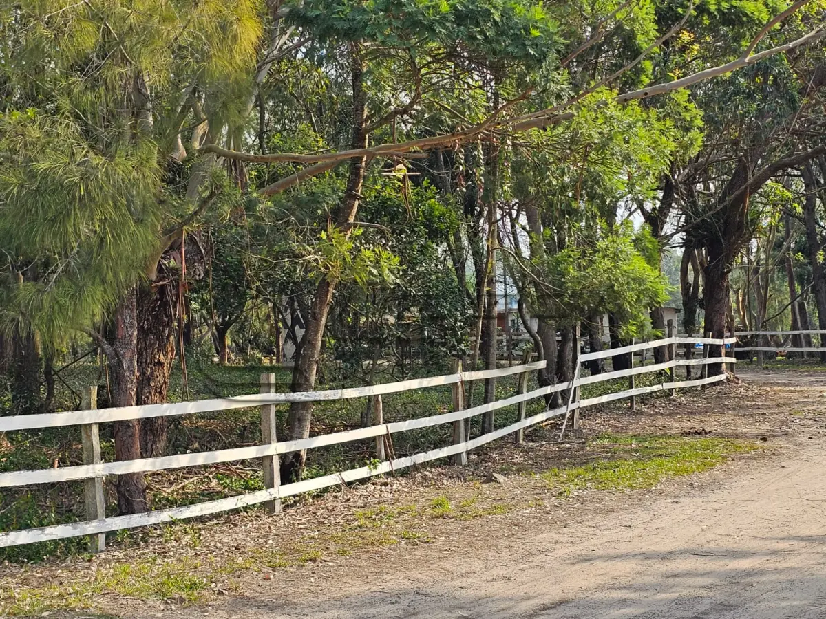 LOTE 001 - UMA ÁREA DE TERRAS DE 14,9 HÁ, NO LUGAR DENOMINADO ARROIO TEIXEIRA, ENTRE OS MUNICÍPIOS DE TERRA DE AREIA/RS E CAPÃO DA CANOA/RS, NO LUGAR DENOMINADO “CAMPING CLUBE DO BRASIL”