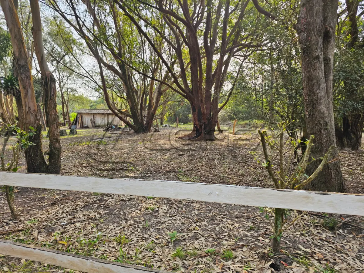 LOTE 001 - UMA ÁREA DE TERRAS DE 14,9 HÁ, NO LUGAR DENOMINADO ARROIO TEIXEIRA, ENTRE OS MUNICÍPIOS DE TERRA DE AREIA/RS E CAPÃO DA CANOA/RS, NO LUGAR DENOMINADO “CAMPING CLUBE DO BRASIL”