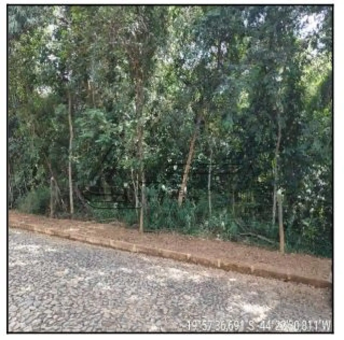 LOTE 092