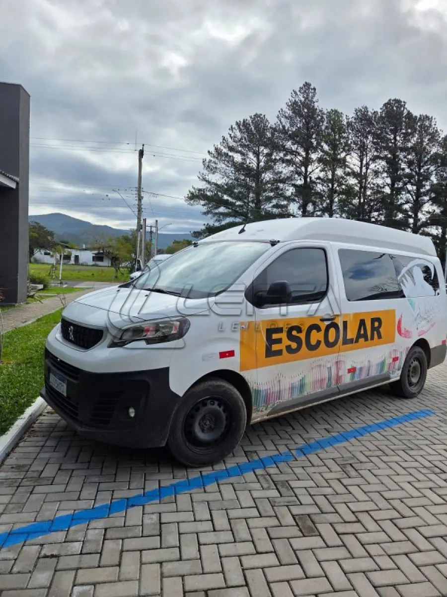 LOTE 001 - UM VEÍCULO PEUGEOT EXPERT EUROLAF ANO E MODELO 2019, PLACAS IZV-5H71