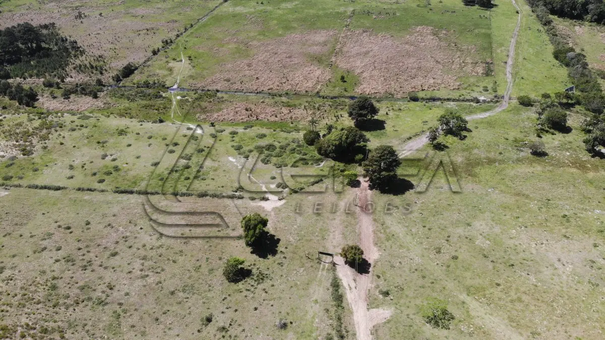 LOTE 001 - 52,27 HECTARES COM ACESSO PELA RODOVIA RS-389 (ESTRADA DO MAR), E TESTADA COM A LAGOA DA ITAPEVA, RONDINHA, ARROIO DO SAL/RS