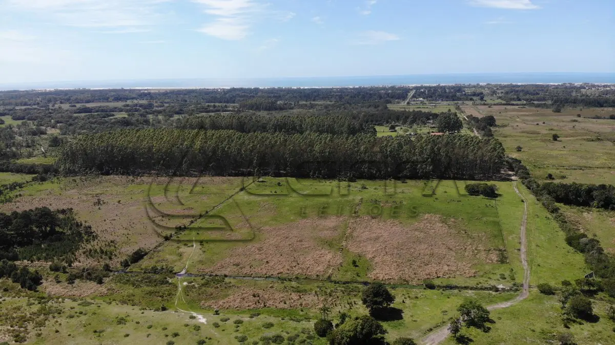 LOTE 001 - 52,27 HECTARES COM ACESSO PELA RODOVIA RS-389 (ESTRADA DO MAR), E TESTADA COM A LAGOA DA ITAPEVA, RONDINHA, ARROIO DO SAL/RS