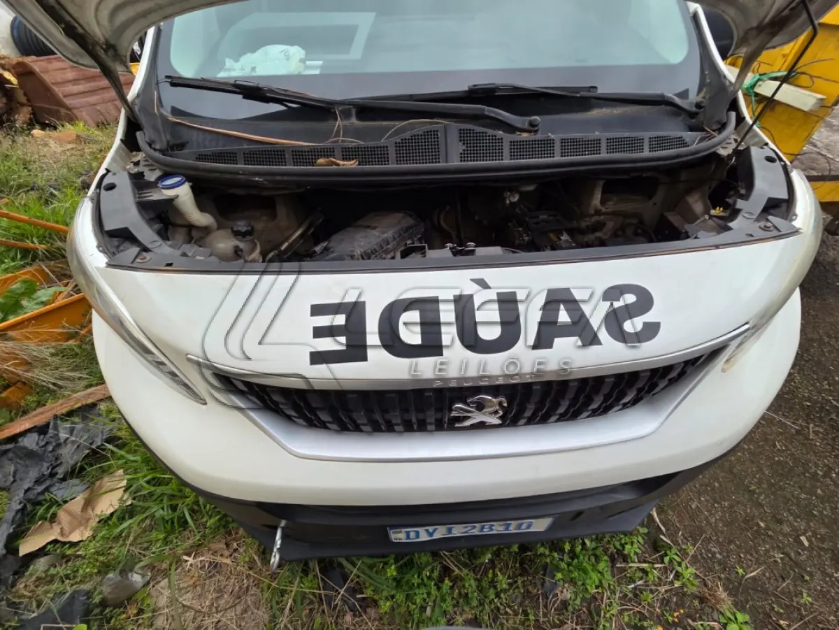 LOTE 007 - UM VEÍCULO PEUGEOT EXPERT EUROLAF ANO E MODELO
2019, PLACAS DYI-2B10
