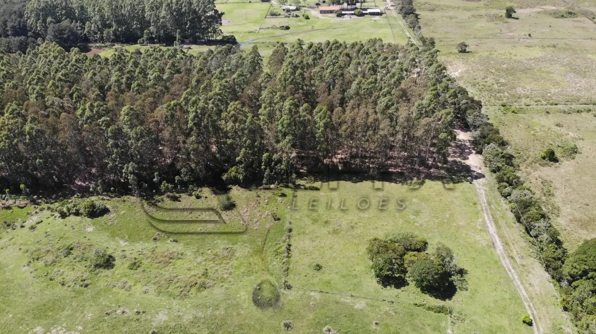 LOTE 001 - 52,27 HECTARES COM ACESSO PELA RODOVIA RS-389 (ESTRADA DO MAR), E TESTADA COM A LAGOA DA ITAPEVA, RONDINHA, ARROIO DO SAL/RS