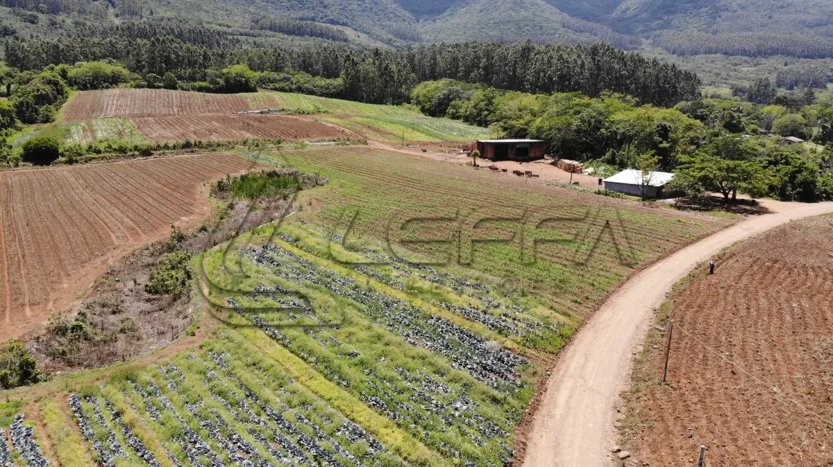LOTE 001 - UM TERRENO RURAL DE 14,9 HECTARES, COM BENFEITORIAS, SITUADO NO LUGAR DENOMINADO MORRO DO CHAPÉU, NO MUNICÍPIO DE TRÊS FORQUILHAS/RS