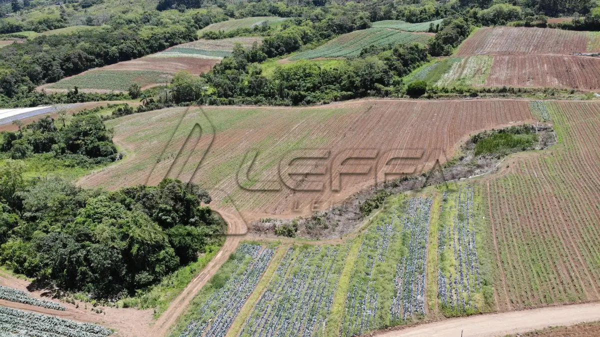 LOTE 001 - UM TERRENO RURAL DE 14,9 HECTARES, COM BENFEITORIAS, SITUADO NO LUGAR DENOMINADO MORRO DO CHAPÉU, NO MUNICÍPIO DE TRÊS FORQUILHAS/RS