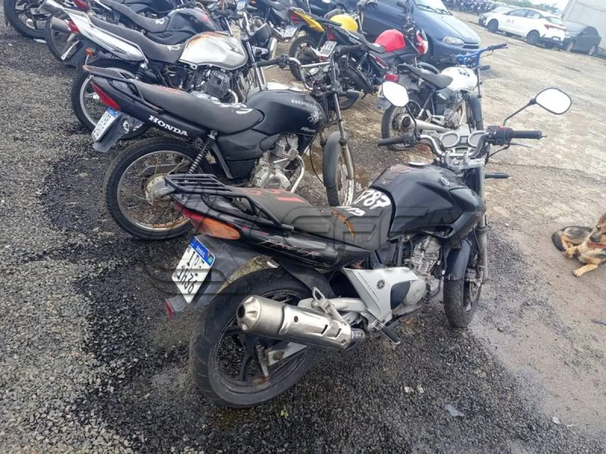 LOTE 0031