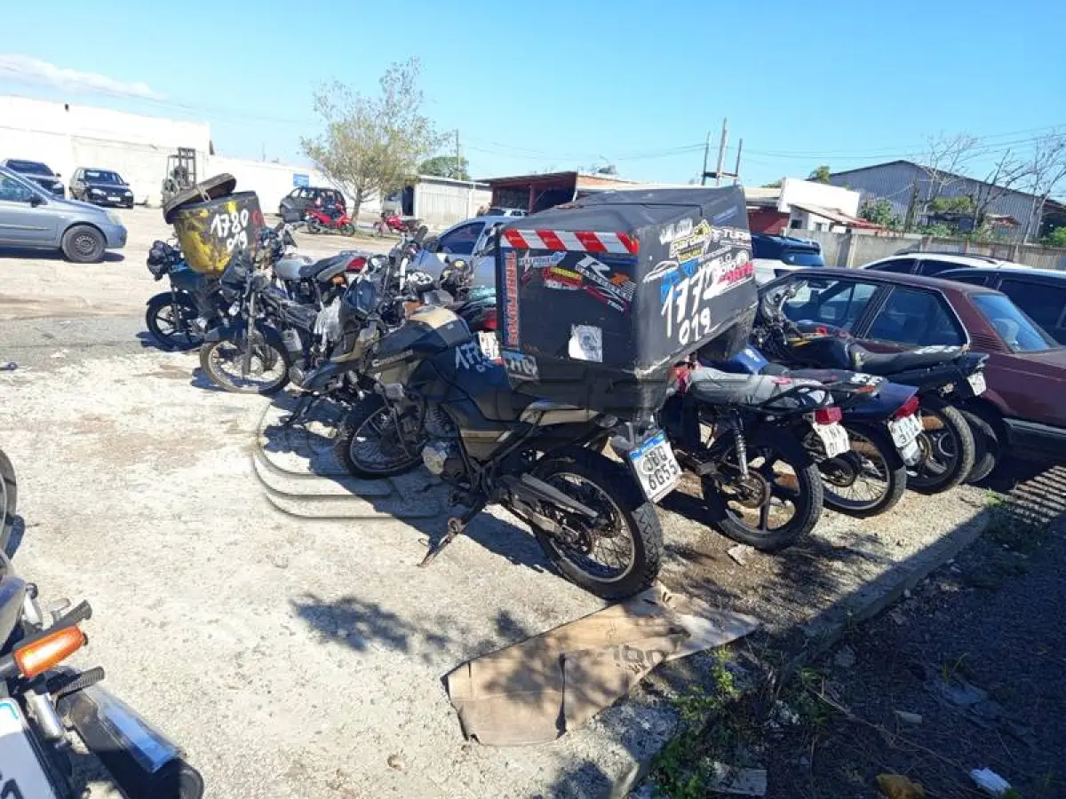 LOTE 0001