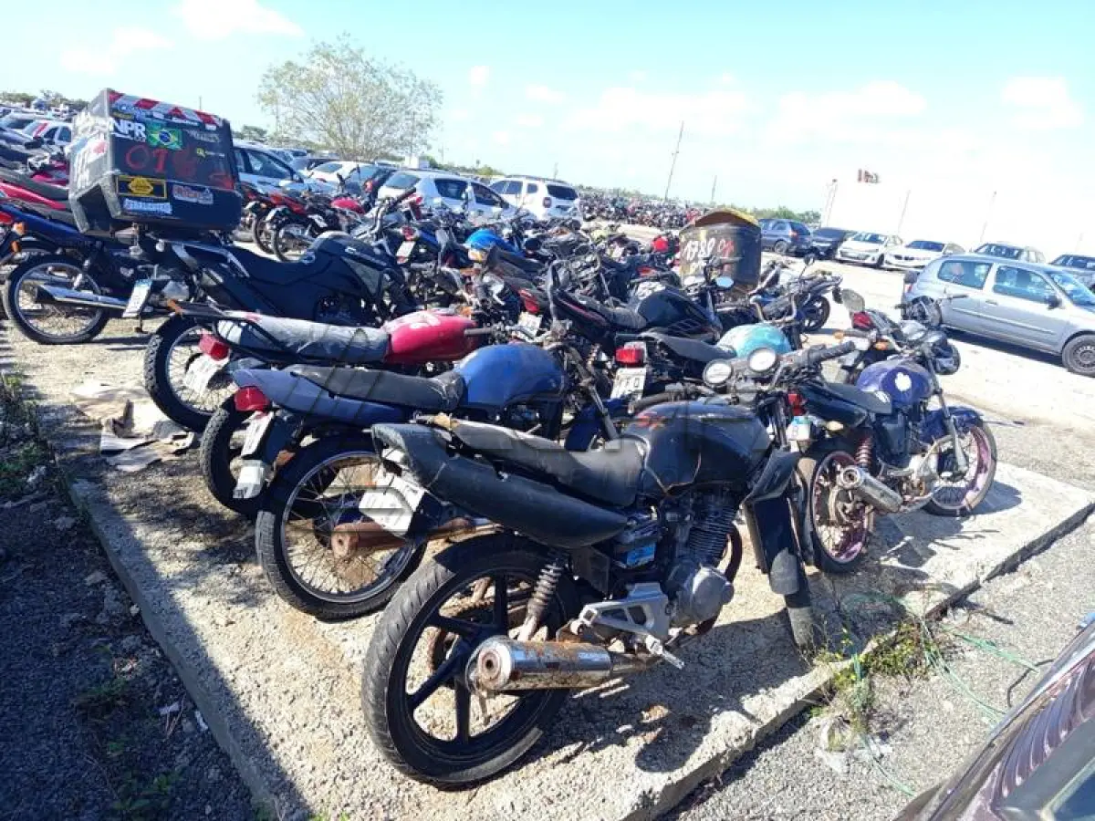 LOTE 0001